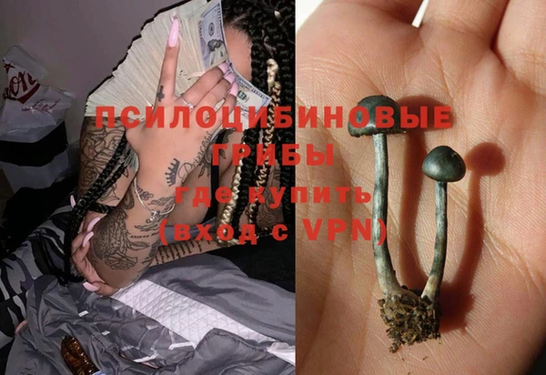 ГАЛЛЮЦИНОГЕННЫЕ ГРИБЫ Баксан
