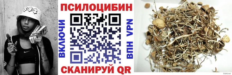 Галлюциногенные грибы GOLDEN TEACHER  Купить  Тарко-Сале 